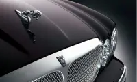 Nerex Jaguar Oto Servis