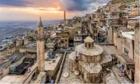 Nerex Mardin Oto Servisleri