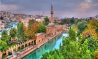 Nerex Şanlıurfa Oto Servisleri