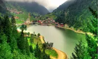 Nerex Trabzon Oto Servisleri